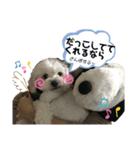 らる(散歩拒否いいわ犬)（個別スタンプ：4）