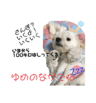 らる(散歩拒否いいわ犬)（個別スタンプ：5）