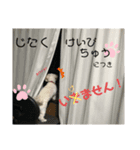 らる(散歩拒否いいわ犬)（個別スタンプ：6）