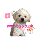 らる(散歩拒否いいわ犬)（個別スタンプ：7）