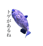 かったるい海洋生物（個別スタンプ：5）