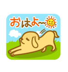 にぱにぱわんこ（個別スタンプ：1）