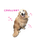 私の日常1（個別スタンプ：1）