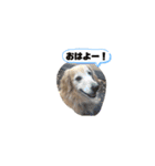 私の日常1（個別スタンプ：2）