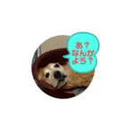 私の日常1（個別スタンプ：7）