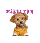 【Grammy】スタンプ vol.2（個別スタンプ：1）