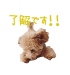 【Grammy】スタンプ vol.2（個別スタンプ：2）