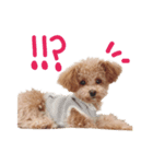【Grammy】スタンプ vol.2（個別スタンプ：4）