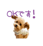 【Grammy】スタンプ vol.2（個別スタンプ：5）