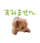 【Grammy】スタンプ vol.2（個別スタンプ：6）