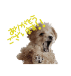 【Grammy】スタンプ vol.2（個別スタンプ：7）