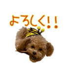 Grammyスタンプ 3（個別スタンプ：2）