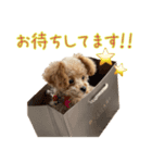 Grammyスタンプ 3（個別スタンプ：7）