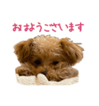 Grammyスタンプ 3（個別スタンプ：8）
