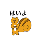 素敵なアニマルスタンプ（個別スタンプ：11）