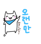 スカーフねこちゃん 韓国語バージョン（個別スタンプ：13）