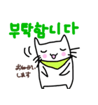 スカーフねこちゃん 韓国語バージョン（個別スタンプ：25）