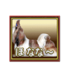 シーズ犬が会話する（個別スタンプ：4）