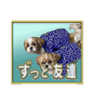 シーズ犬が会話する（個別スタンプ：6）