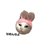 まろくそ（個別スタンプ：1）