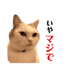 まろくそ（個別スタンプ：3）
