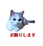 まろくそ（個別スタンプ：6）