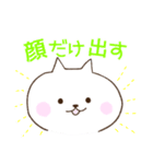 石垣沖縄ことば★もあい飲み会カラフルねこ（個別スタンプ：16）