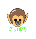 リスザル3（個別スタンプ：9）
