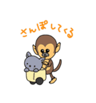 リスザル3（個別スタンプ：11）