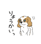 キャバリアの気ままな日常（個別スタンプ：1）