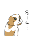 キャバリアの気ままな日常（個別スタンプ：2）