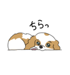 キャバリアの気ままな日常（個別スタンプ：4）
