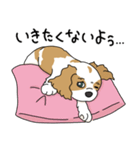キャバリアの気ままな日常（個別スタンプ：7）