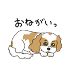 キャバリアの気ままな日常（個別スタンプ：10）