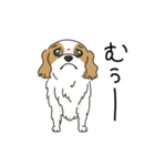 キャバリアの気ままな日常（個別スタンプ：12）