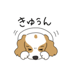 キャバリアの気ままな日常（個別スタンプ：14）