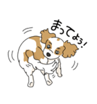 キャバリアの気ままな日常（個別スタンプ：19）