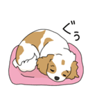 キャバリアの気ままな日常（個別スタンプ：22）