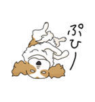 キャバリアの気ままな日常（個別スタンプ：24）