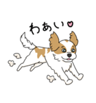 キャバリアの気ままな日常（個別スタンプ：27）