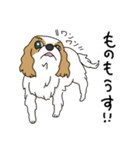 キャバリアの気ままな日常（個別スタンプ：32）