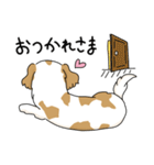 キャバリアの気ままな日常（個別スタンプ：37）