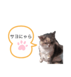 ネコとネコの楽しいスタンプ（個別スタンプ：2）