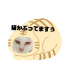 マザーヘレン（個別スタンプ：2）