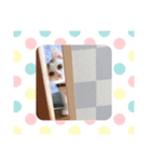 我が家のねこ2（個別スタンプ：6）