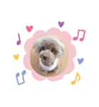 ベリーちゃんの毎日:)（個別スタンプ：1）