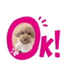 ベリーちゃんの毎日:)（個別スタンプ：2）