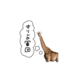 キリンの軍団（個別スタンプ：1）