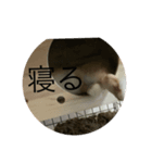 COCO第二弾（個別スタンプ：1）
