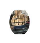 COCO第二弾（個別スタンプ：7）